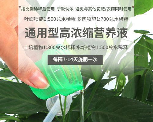 盆栽营养液的正确使用方法（如何掌握合适的用量和使用时间）