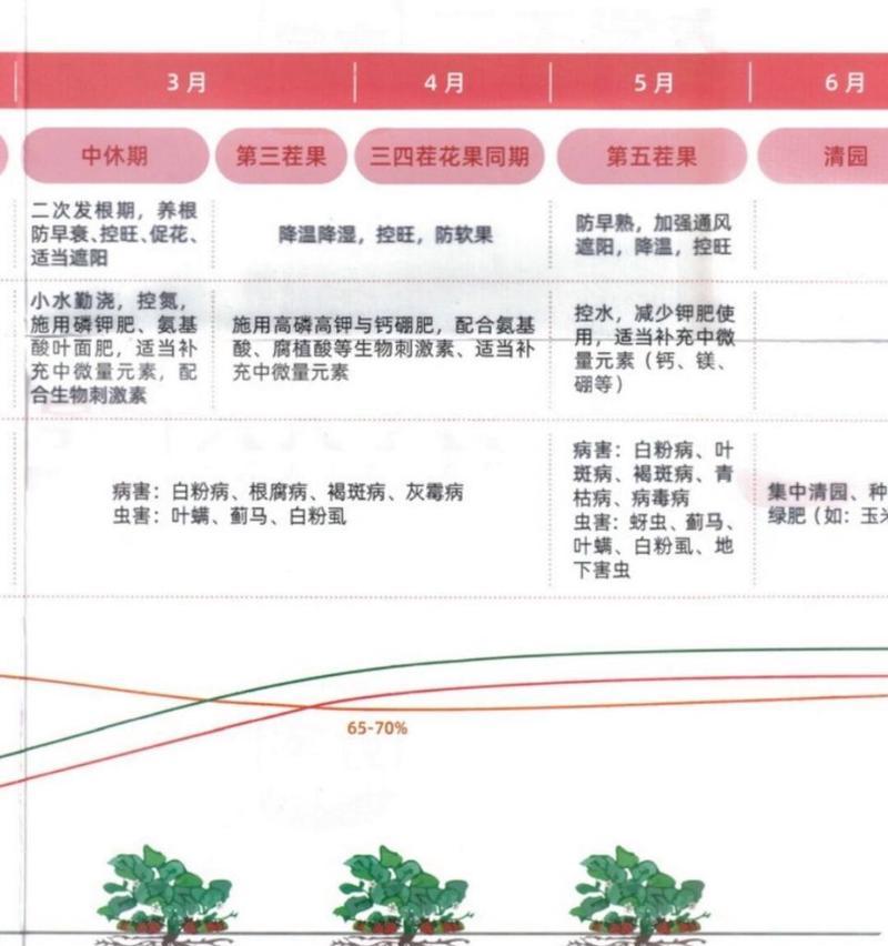 蓝莓种子发芽的关键步骤及时间（几天发芽）