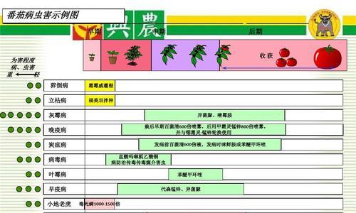 老鸦柿上盆时间与养护方法（掌握老鸦柿的上盆时间）