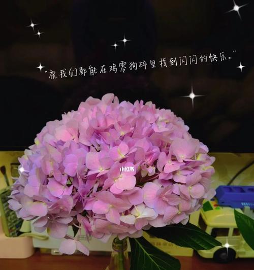 绣球花的花语与意义（探寻绣球花的情感表达和象征意义）