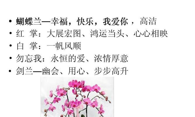 桃花花语与代表意义的奥秘（探索桃花的心语与美丽意义）