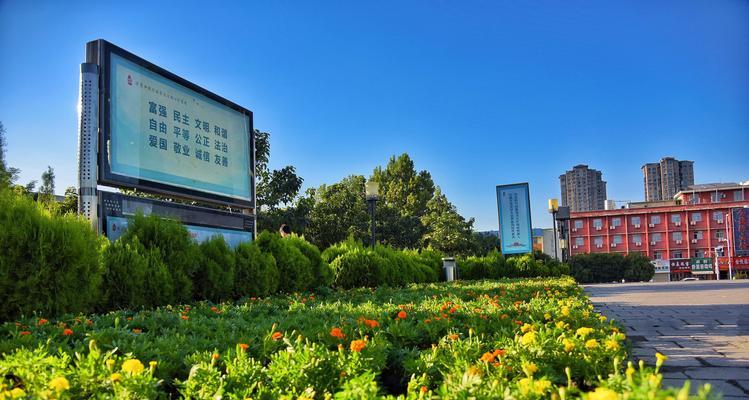 象征公平正义的植物（在大自然中寻找公正和正义的化身）