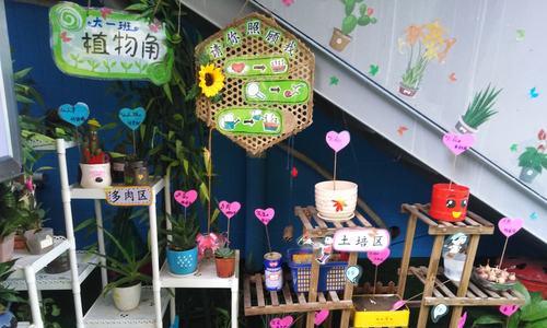 幼儿园土培植物（让孩子们亲手种植）