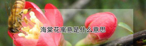 杏花古代别称的花语与寓意（传说中的“春之王”——杏花）