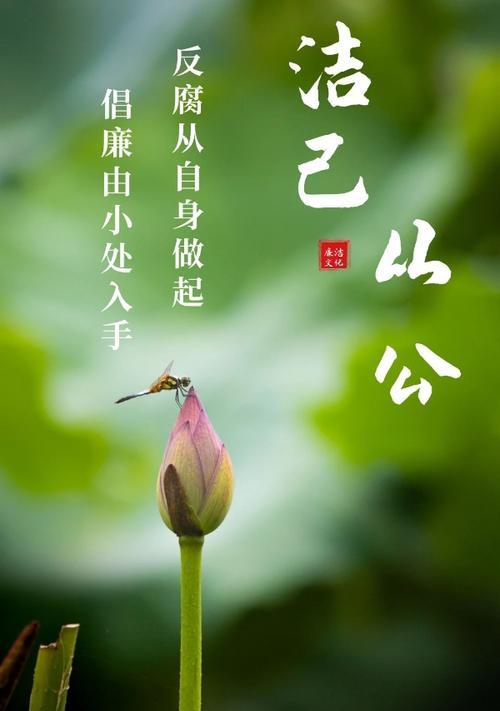 代表清廉的植物有哪些？它们各自象征着什么含义？