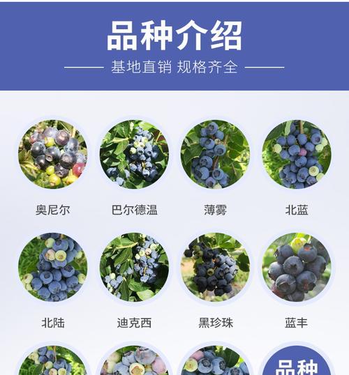 蓝莓配土方法是什么？种植土壤应具备哪些特点？