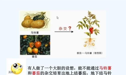 杂交植物的定义及其分类有哪些？