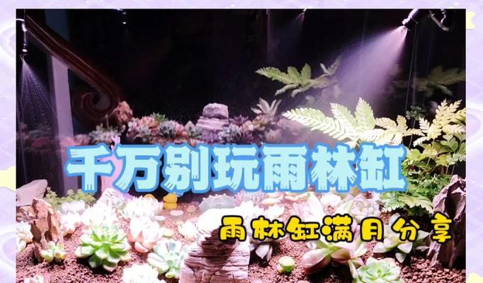 泥缸适合种植哪些植物？如何选择适合的植物种类？