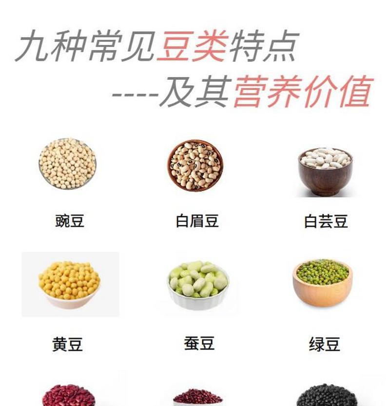 豆类植物有哪些种类？它们的特性是什么？