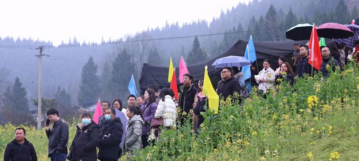 营山地区适合种植哪些植物？营山植物种植的注意事项是什么？