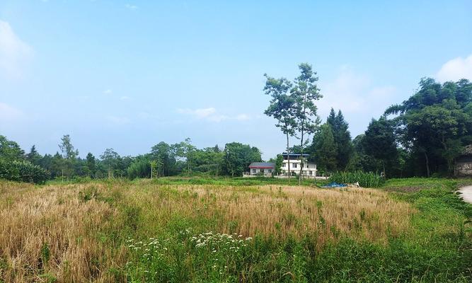 营山地区适合种植哪些植物？营山植物种植的注意事项是什么？