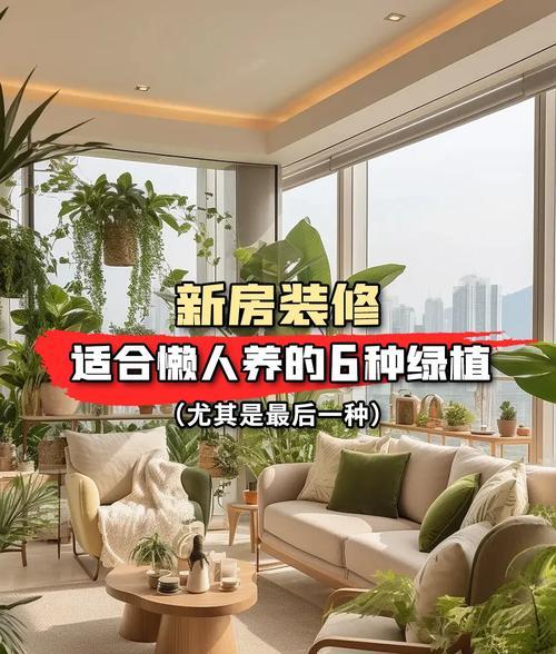 哪些植物最容易养活？养活这些植物的秘诀是什么？