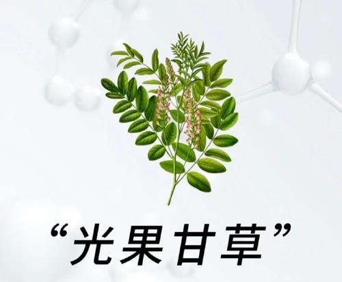 植物可以提取什么？植物提取物有哪些常见用途？