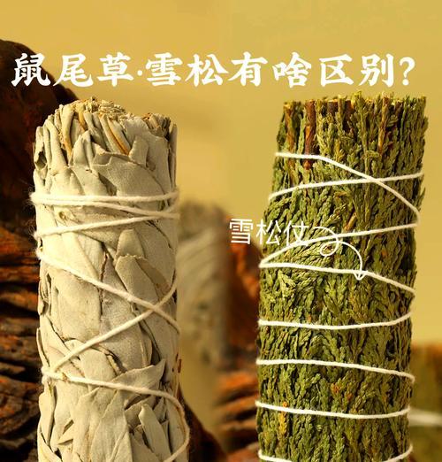 什么植物是白色的？它们有什么特点？