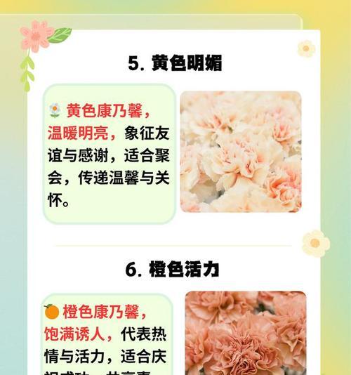 13朵康乃馨的花语是什么？