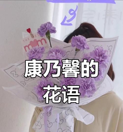 19朵康乃馨的花语是什么？它代表了什么情感？