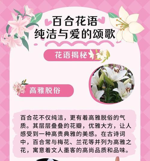 暮光花语与百合花语有何不同？它们各自代表什么？