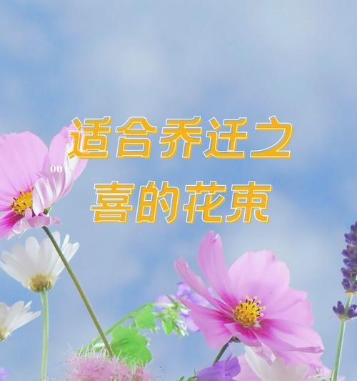 名人送百合花束代表什么含义？