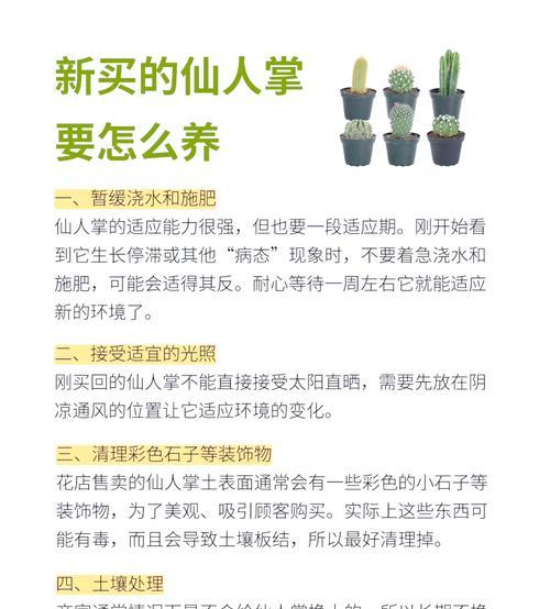 如何观察仙人球的花苞和叶子？它们的生长状态有何指示意义？