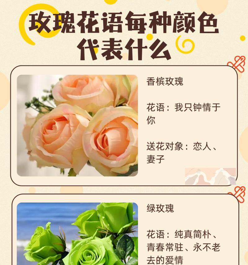 送花给朋友的花语代表什么？