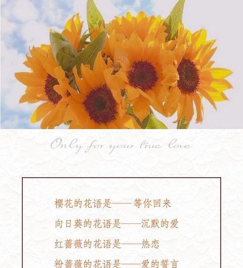 “有我陪你的”花语应该是什么？