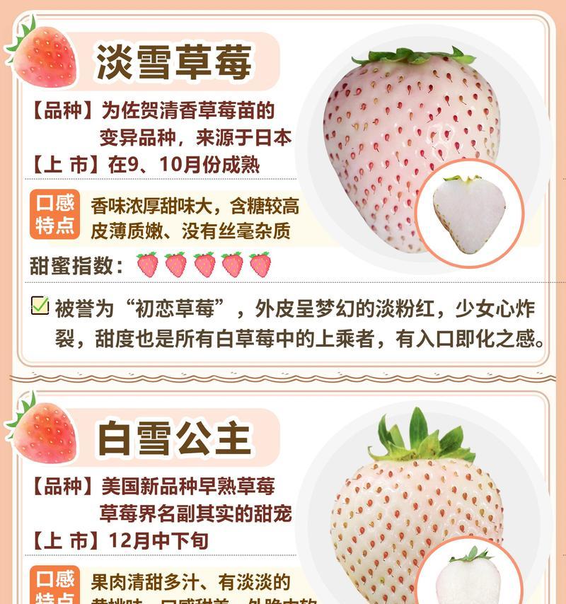 刘宝宝草莓的花语是什么？它通常代表什么？